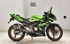 KAWASAKI NINJA150RR KR150P