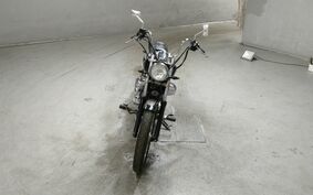 YAMAHA VIRAGO 250 3DM