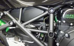 KAWASAKI NINJA H2 SX 2024 ZXT02P