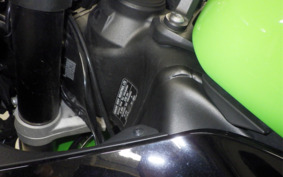 KAWASAKI NINJA ZX-6R A 2019 ZX636G