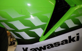 KAWASAKI NINJA 250R EX250K