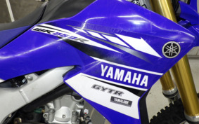 YAMAHA WR250R DG15J