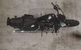 HARLEY XL883N 2013