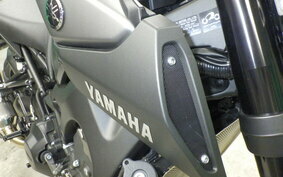 YAMAHA MT-09 2019 RN34J