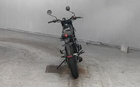 OTHER マット レイザーバック250 不明