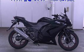 OTHER ﾆﾝｼﾞｬ 250R