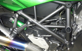 KAWASAKI NINJA H2 SX 2019 ZXT02A