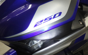 YAMAHA YZF-R25 RG10J