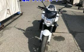 YAMAHA FZ FAZER 2010 RN21J