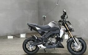 KAWASAKI Z125 PRO BR125H