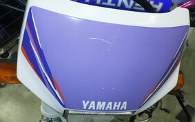 YAMAHA TT250R 4GY