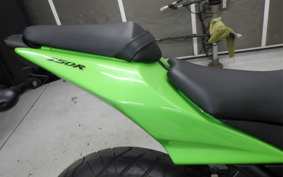 KAWASAKI NINJA 250R EX250K