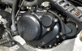 YAMAHA TW225 DG09J