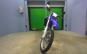 YAMAHA WR250R 2007 DG15J