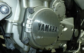 YAMAHA XJR1300 2000 RP03J