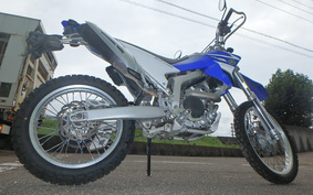 YAMAHA WR250R DG15J