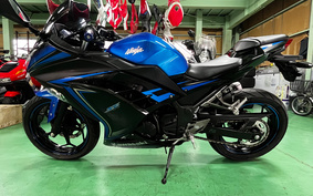 KAWASAKI Ninja 250 SE EX250L