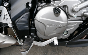 SUZUKI DL650 ( V-Strom 650 ) ABS 2021 C733A