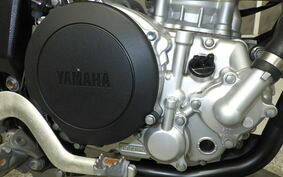 YAMAHA WR250X DG15J