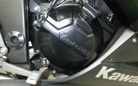 KAWASAKI NINJA 250 EX250L