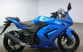 KAWASAKI NINJA 250R 2010 EX250K