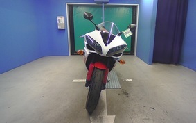 YAMAHA YZF-R1 2010 RN20