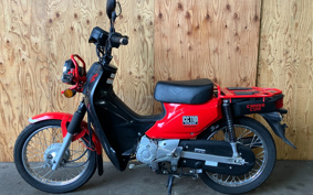 HONDA CROSS CUB 110 JA10