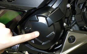 KAWASAKI NINJA 1000 SX 2023 ZXT02K