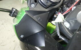 KAWASAKI NINJA 1000 2013 ZXCG19