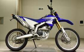 YAMAHA WR250R DG15J