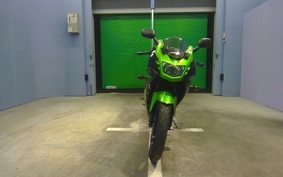 KAWASAKI NINJA150RR KR150P