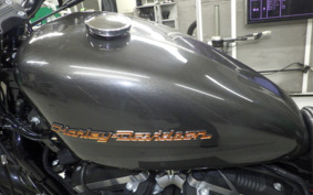 HARLEY XL883N 2019