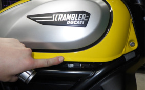 DUCATI SCRAMBLER ICON 2022