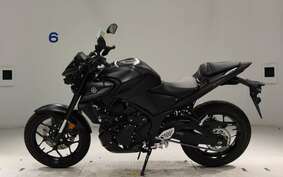 YAMAHA MT-25 A RG74J