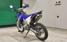 YAMAHA WR250R DG15J