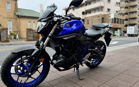 YAMAHA MT-25 RG43J