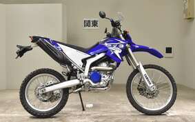 YAMAHA WR250R DG15J