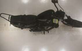 HARLEY XL1200NS 2021