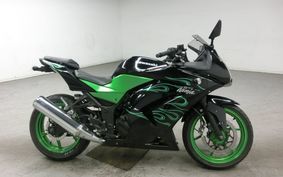 KAWASAKI NINJA 250R 2009 EX250K