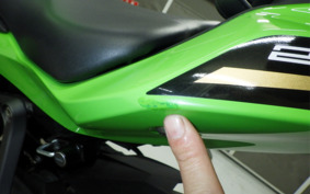 KAWASAKI ZX-25R ZX250E