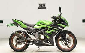 KAWASAKI NINJA150RR KR150P