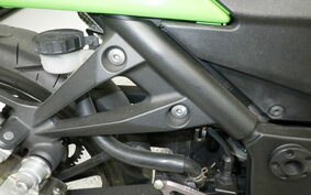 KAWASAKI NINJA 250R EX250K