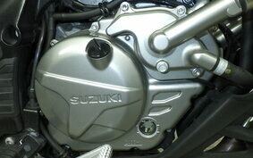 SUZUKI DL650 ( V-Strom 650 ) 2020 C733A