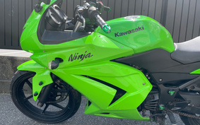 KAWASAKI NINJA 250R EX250K