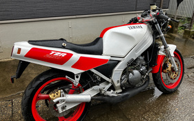 YAMAHA TZR250 1KT