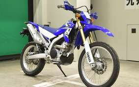 YAMAHA WR250R DG15J