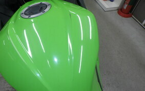 KAWASAKI NINJA 250 EX250L