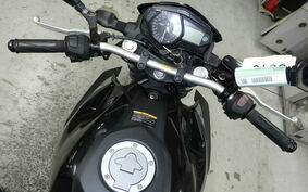 YAMAHA MT-25 RG10J