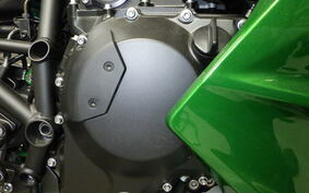 KAWASAKI NINJA H2 SX 2022 ZXT02P