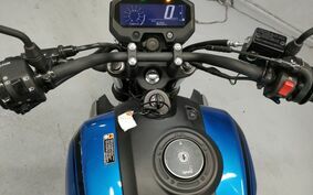 YAMAHA FZ-X 不明